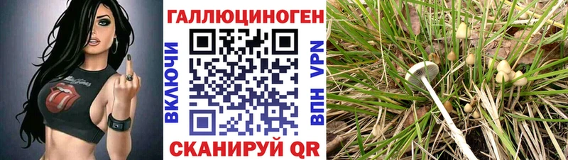 Псилоцибиновые грибы GOLDEN TEACHER  Южно-Сухокумск 